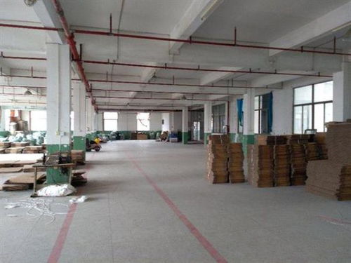 西鄉房屋改造裝修前，房屋建筑質量檢測報告應由何單位出具？工業設計服務需注意哪些要點？